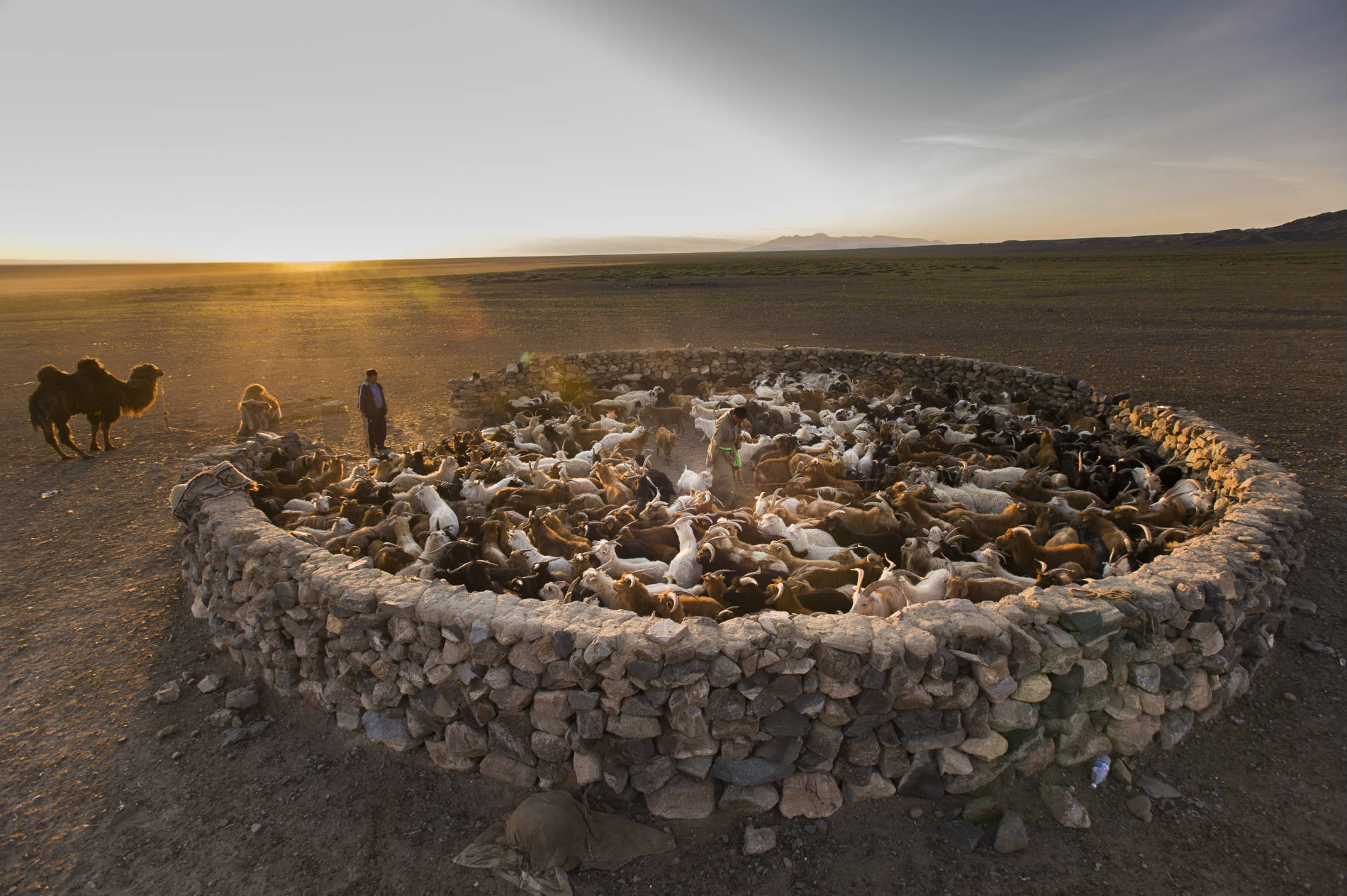 Desert mine. Стоянка кочевников. Стада кочевников. Лагерь кочевников в пустыне. Кочевой город.