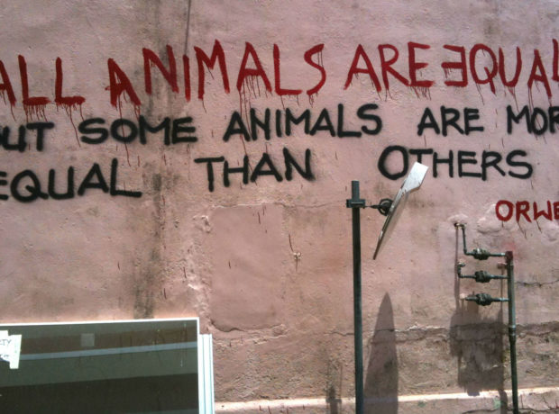 Orwell's Animal Farm by Kevin Lim