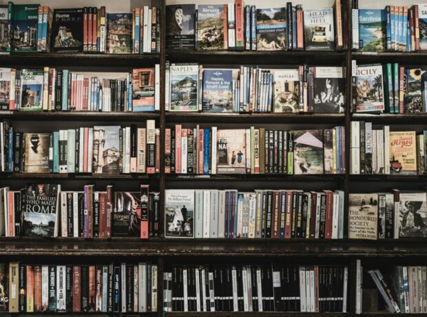 Bookshop book shelves