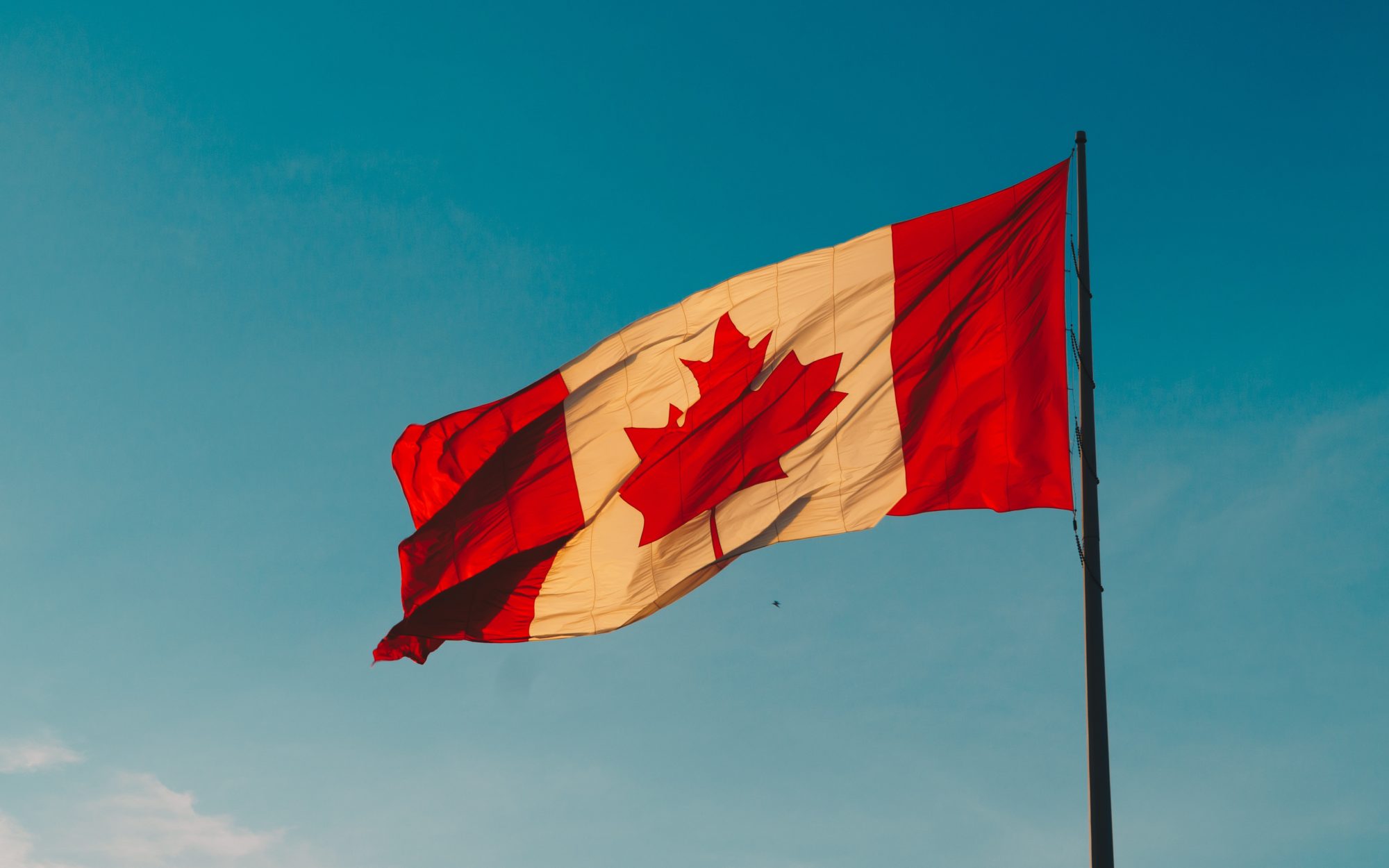 A large Canadian flag flying against a blue sky.
