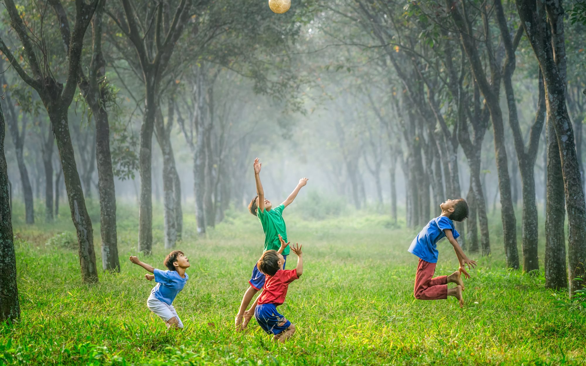 children playing with ball between two rows of trees on bright green grass. For children's mental health week