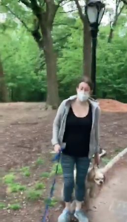 Amy Cooper, wearing a face mask and choking her dog, confronts Christian Cooper in New York's Central Park