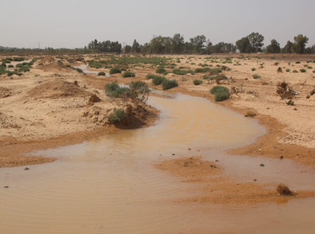 A stream of water snakes through arid land in Jordan's former marshes