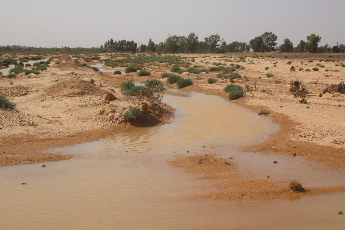 A stream of water snakes through arid land in Jordan's former marshes