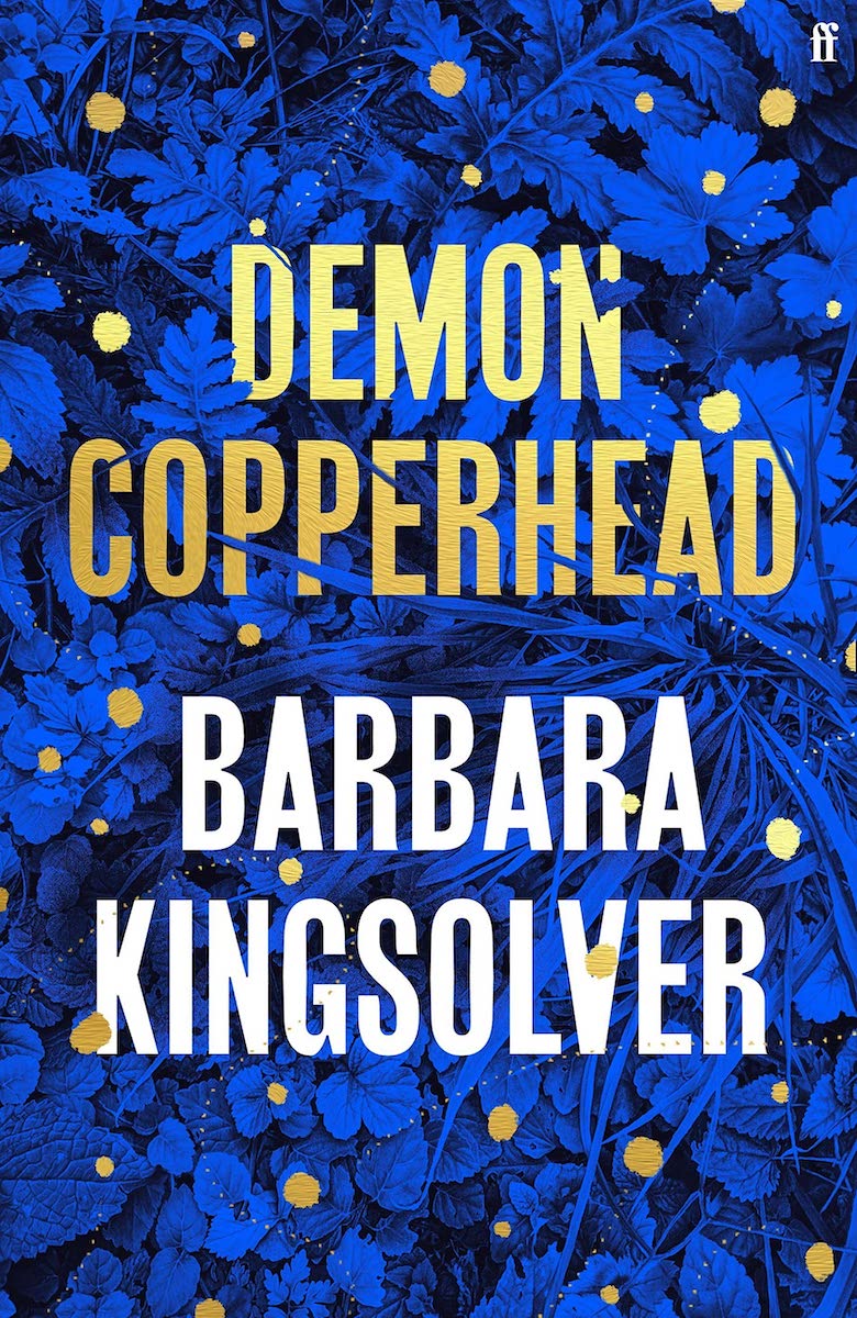 Demon Copperhead by Barbara Kingsolver for feature in Seven of the best books to understand social justice 
