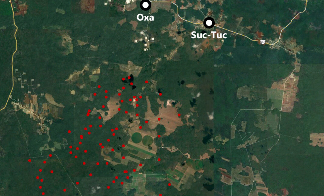 A Google Earth satellite image showing tree coverage and land use in and around the die-off zone (August 2023). Red dots indicate apiaries with dead hives as reported on 23-24 March 2023