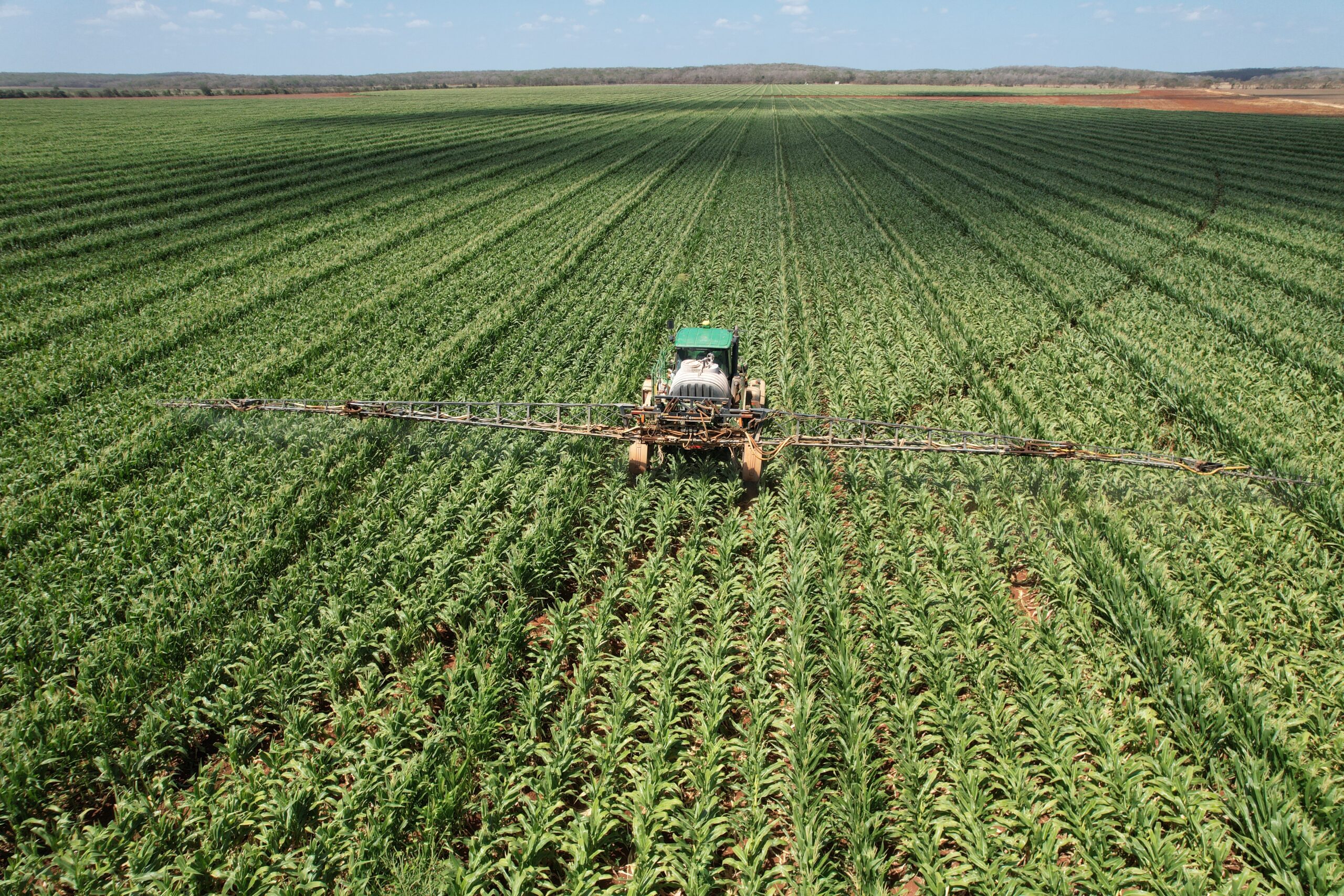 drone shot of maize field being treated