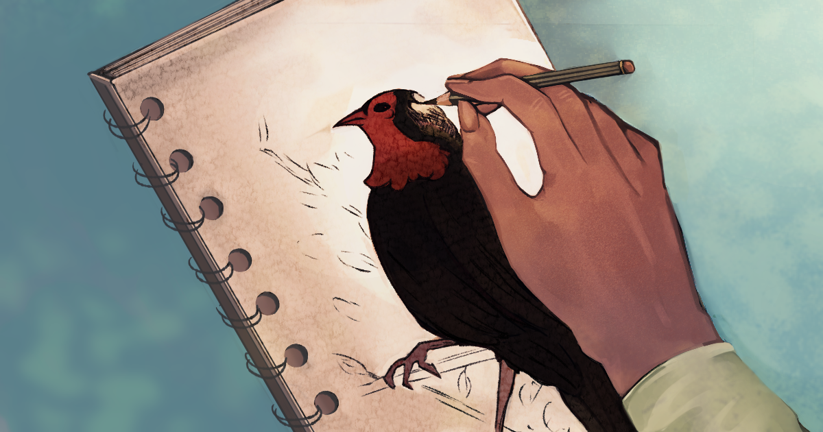 a hand draws a bird with a black body and a red head in a notebook