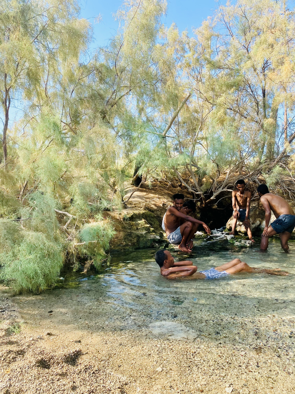 A group of four men bathe and sit in a clear, shallow pool underneath some sparse trees. The sky is light blue