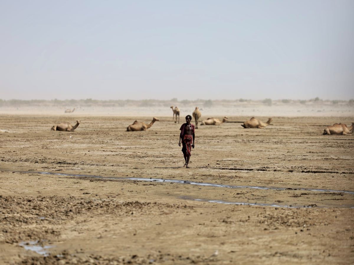 A person wearing an open vest and long bottoms walks across a desert with camels in the background
