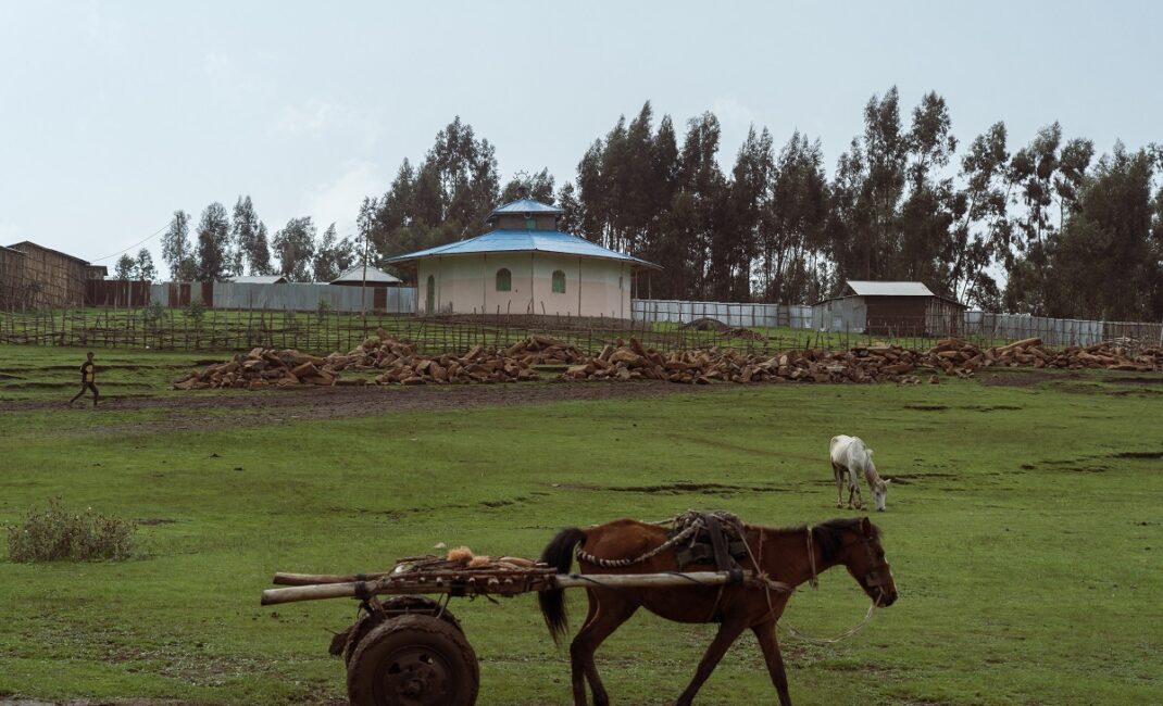 Ethiopian Orthodox church in village in Debark. A horse pulls a cart in the neighbouring paddock while a man runs and another horse grazes:  Photograph by Jaclynn Ashly for Lacuna story on religious tensions in Ethiopia.