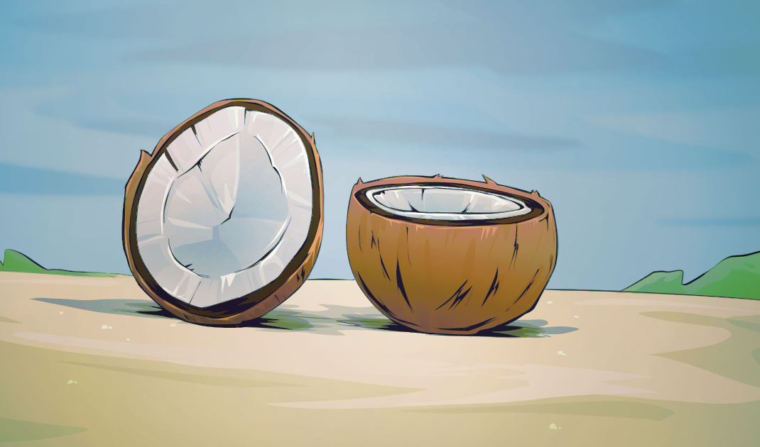 Illustration of coconut split open on beach